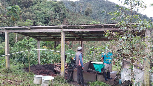 Peru Willian Vasquez Diaz