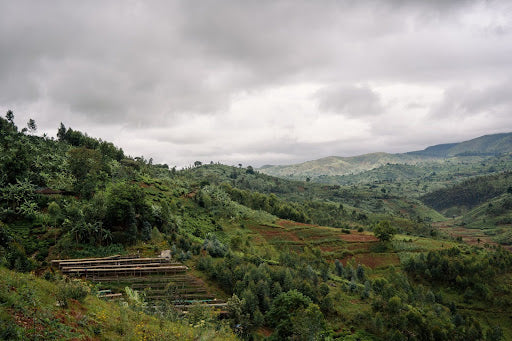 Burundi Ninga